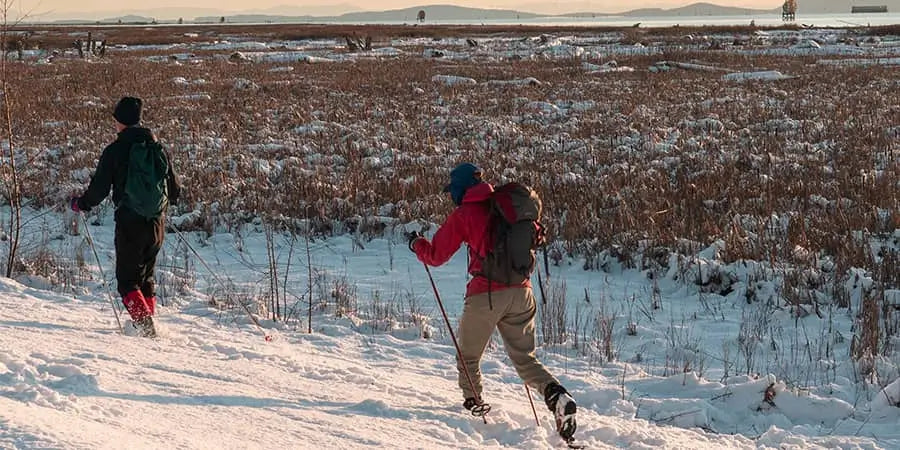 snow trail