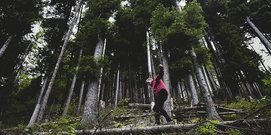 Man balance on log with the help of trekking poles