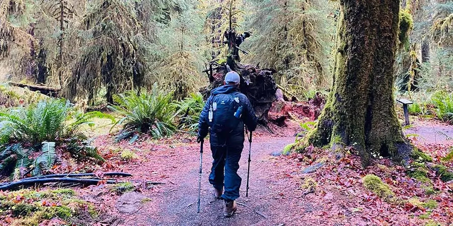 Man hiking with trekking poles in lush woods.