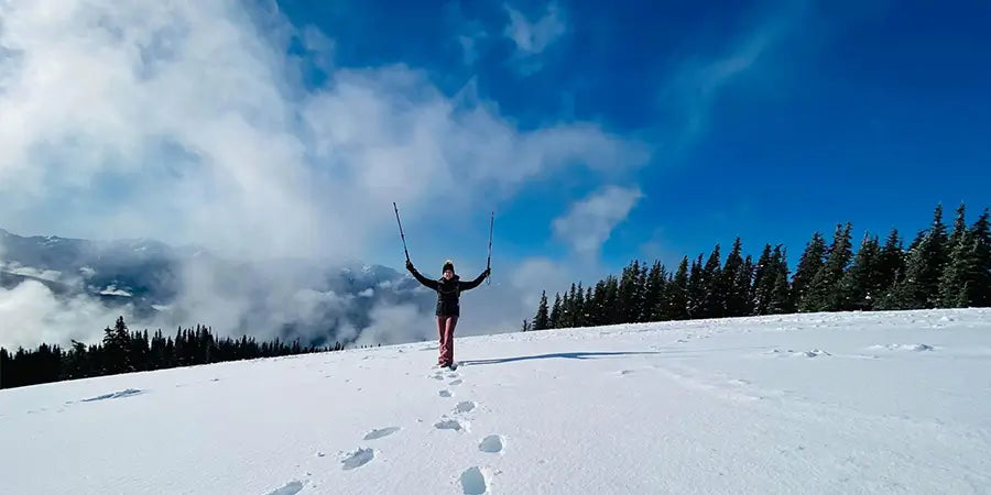 Snow hiking with trekking pole features