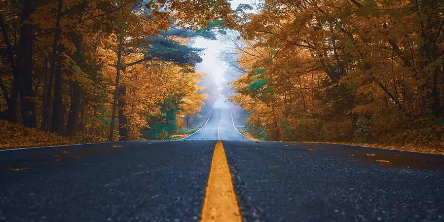 Empty backroad in the fall with orange leaves