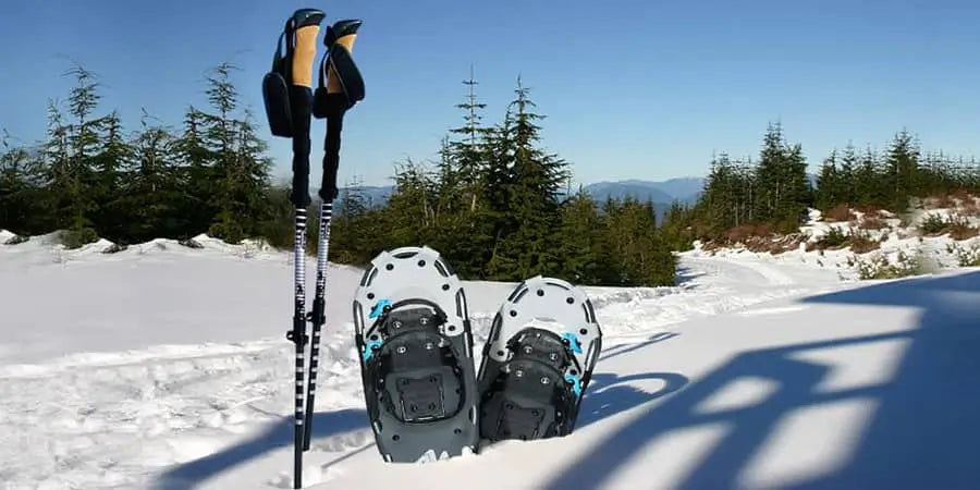 snowshoes and trekking poles staked in snow