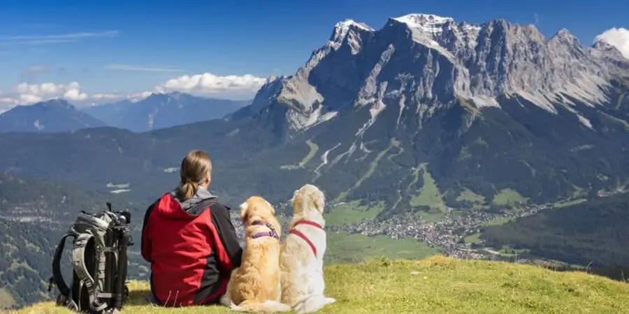 Man sitting with two golden retriever dogs overlooking mountain