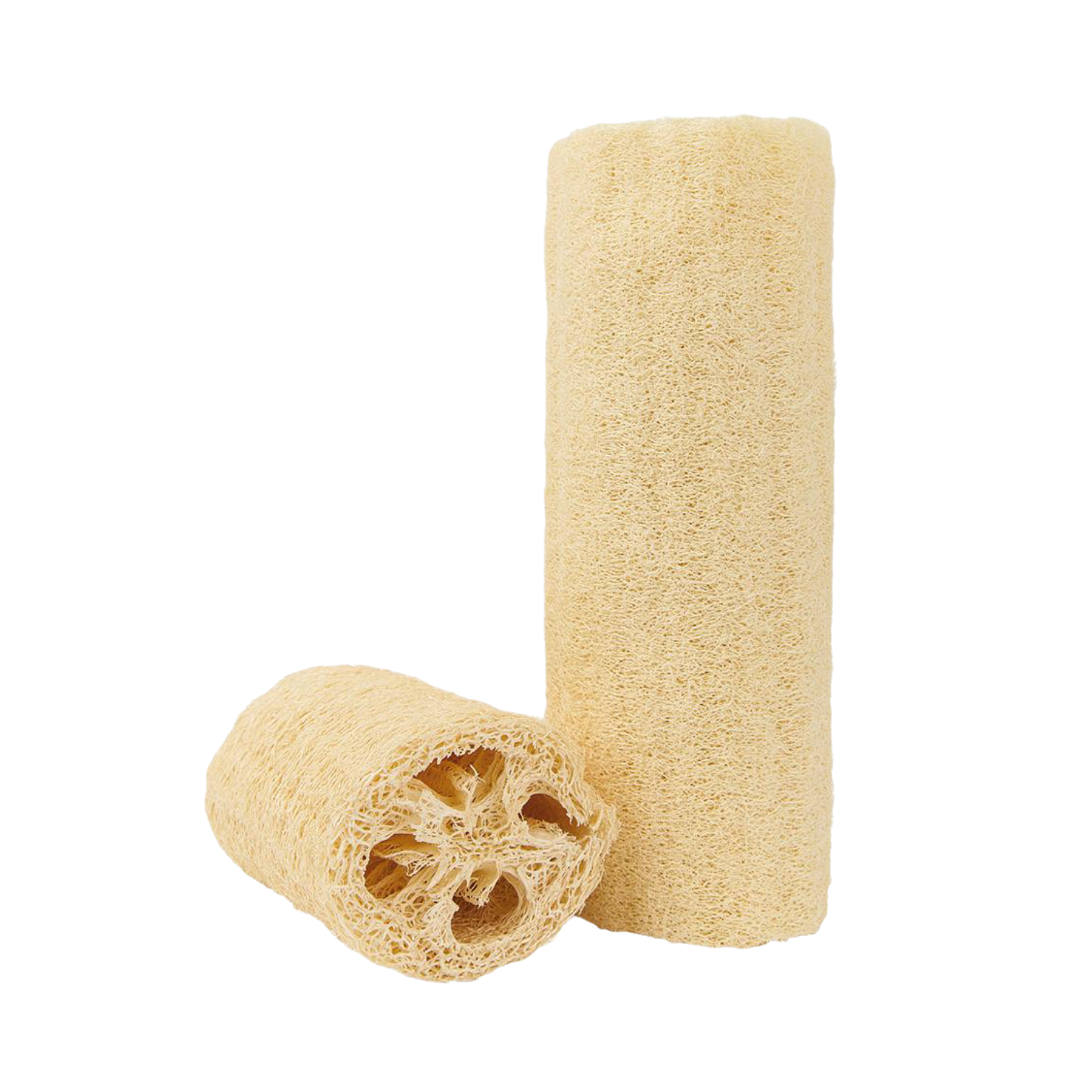 Extra Large Natural Sea Sponge 18cm - Chateau du Savon Ltd.