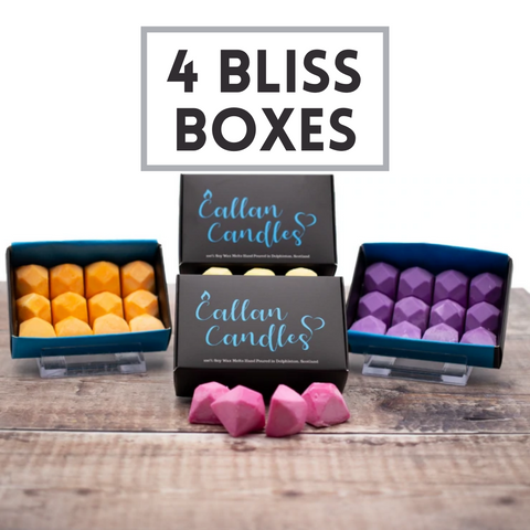 Scented Wax Melts Box: Summer Bliss I 12 Fragrant Melts in 6 Exquisite –  Shades Factory