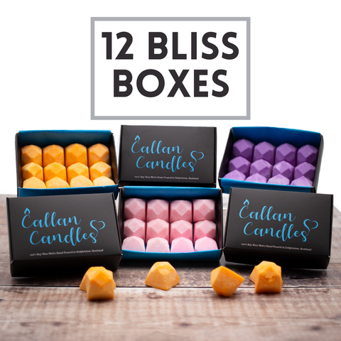 SAMPLER BUNDLE: 6pk Wax Melts Choose Your Own Highly Scented Melt