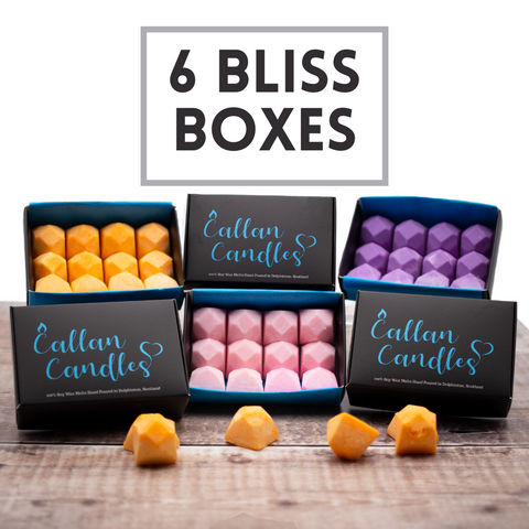 6ct Wax Melts - Multiple Scents