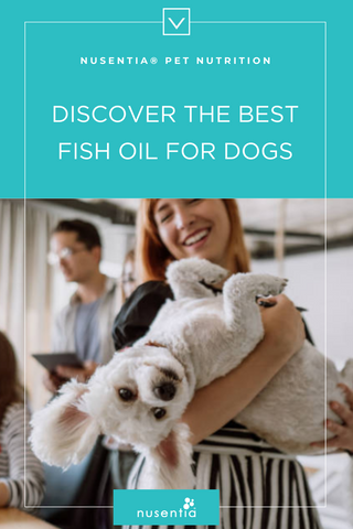 best fish oil for dogs