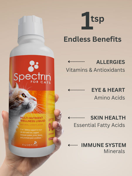 cat vitamins for allergies