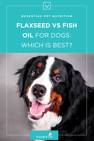 can dogs have flaxseed