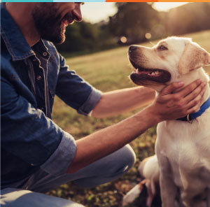 best dog with allergies treatment