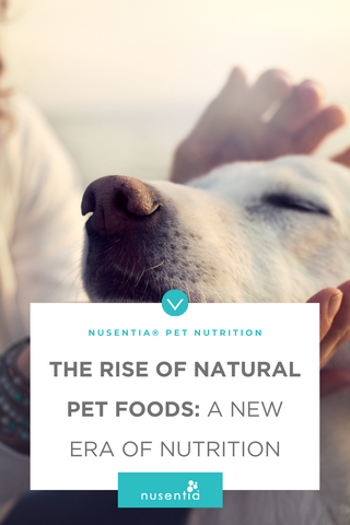 natural pet foods