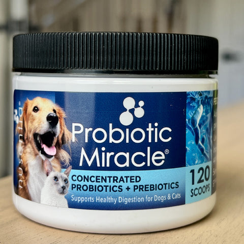 can probiotics cause gas in dogs