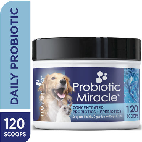 daily probiotics for dogs