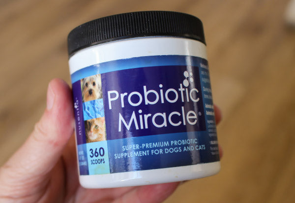 probiotic miracle