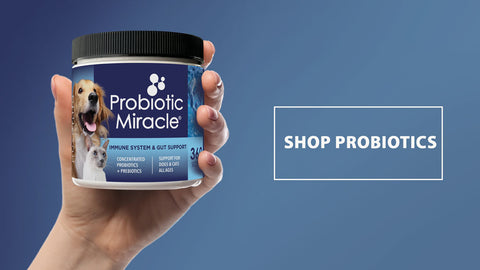 probiotics for leaky gut dogs