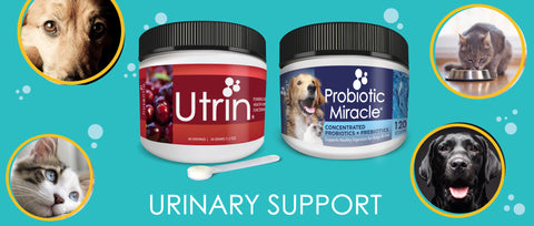 urinary support supplements for pets