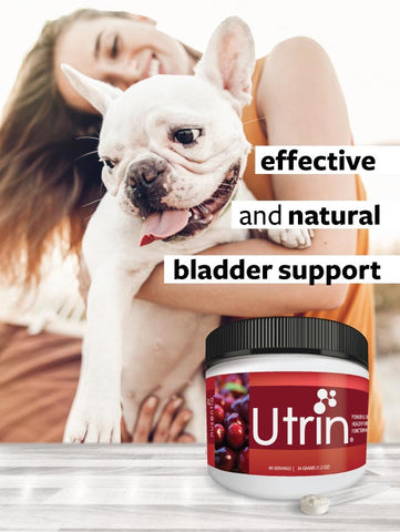 Utrin safe effective uti support