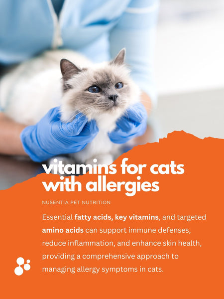 vitamins for cats with allergies