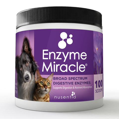 digestive enzymes for dogs with pancreatitis