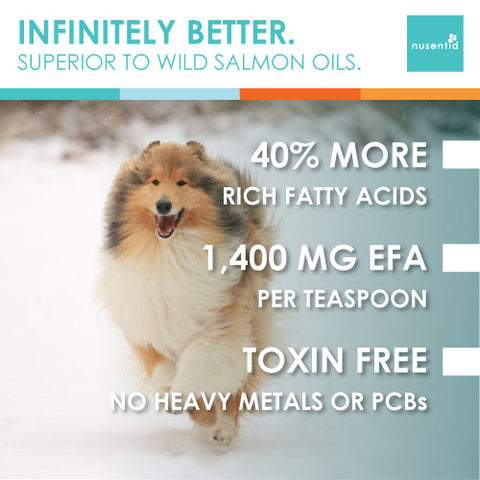 Omega-3 Fish Oil for Pets