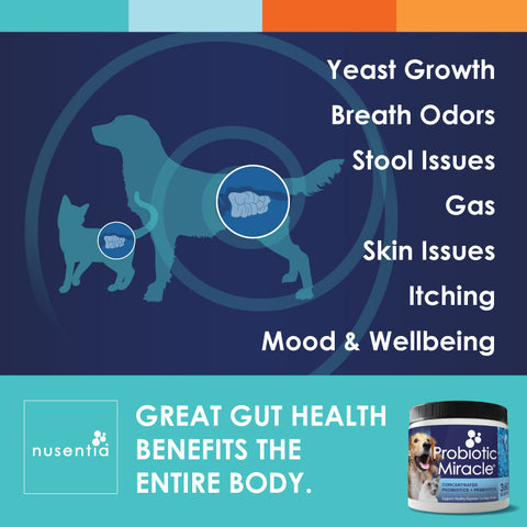 benefits of probiotics