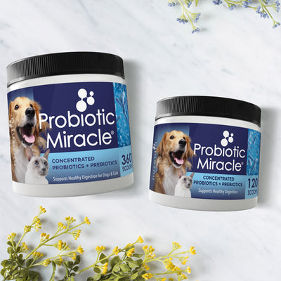 do probiotics make dogs poop more