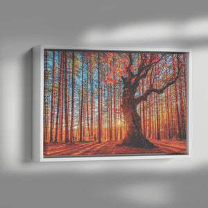 Blissful Red Sunset Framed Wrapped Canvas