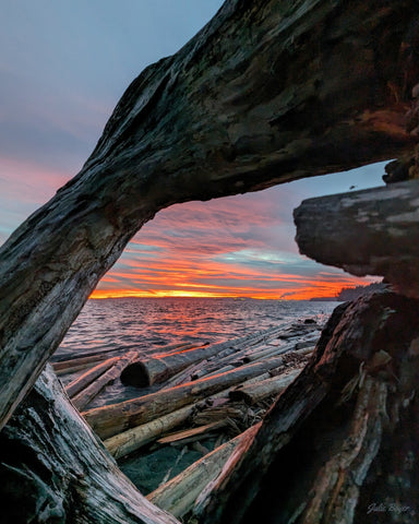 Driftwood frame of the sunrise