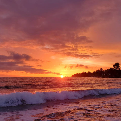 sunrise with pink and purple sky on vancouver island