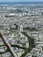 Aerial view of Paris. Arc de Triomphe in the middle.