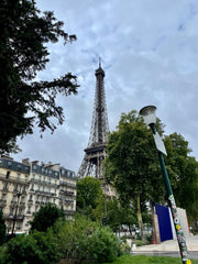 Eiffel Tower, Paris. Trees and bushes in the foreground.