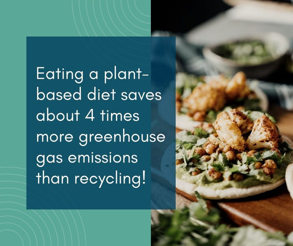 The Contented Company | Contented Earth | 12 Eco-Friendly New Year's Resolutions for a Greener 2022 | Blog | Eating a plant-based diet saves about 4 times more greenhouse gas emissions than recycling