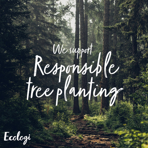 The Contented Company | Contented Earth | Planting Trees with Ecologi