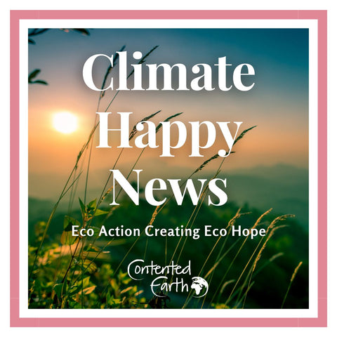 Seven Simple Ways to Solve the Climate Crisis - Blog | Contented Earth | Climate Happy News