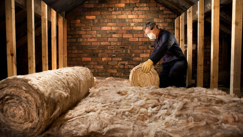 Seven Simple Ways to Solve the Climate Crisis - Blog | Loft Insulation | Save Energy
