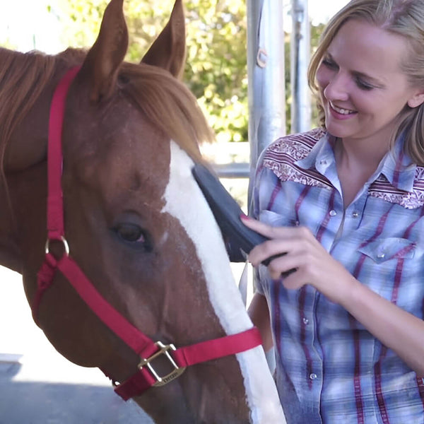 6-In-1 Hair Removal Beauty Massages Brush. Shop Horse Grooming Combs, Brushes & Mitts on Mounteen. Worldwide shipping available.