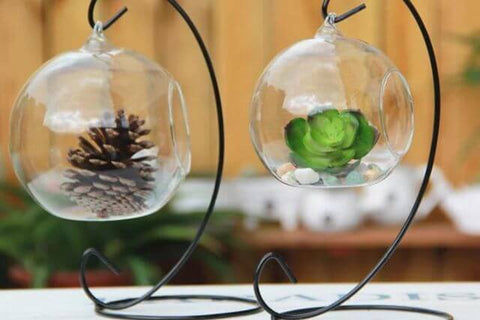 Terrarium en forme de larme en verre suspendu