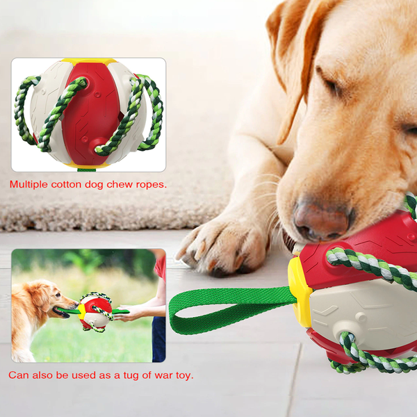 Bouncing Frisbee Ball Interactive Dog Toy - Guide