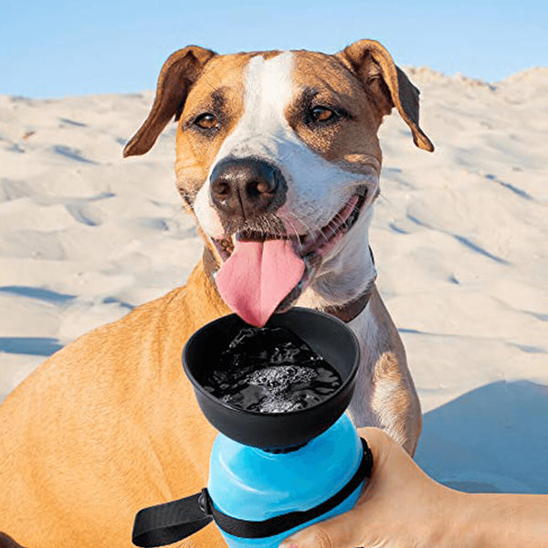 BPA-freie Outdoor-Wasserflasche für Hunde. Kaufen Sie Hundebedarf auf Mounteen. Weltweiter Versand möglich.