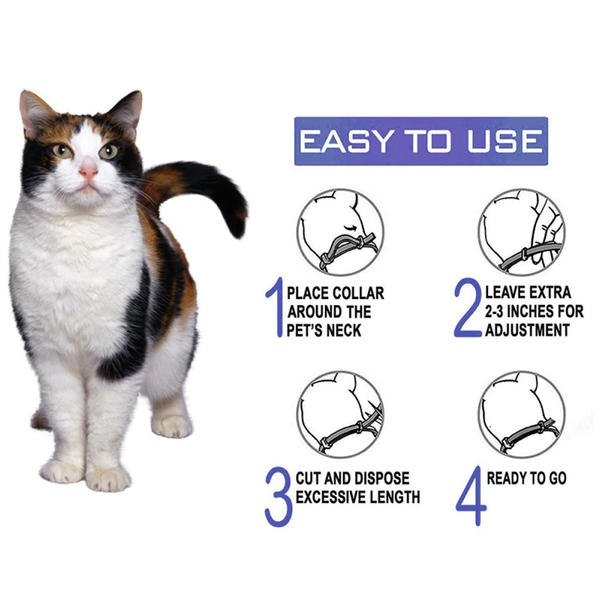 Collier apaisant pour chat - Comment l'utiliser