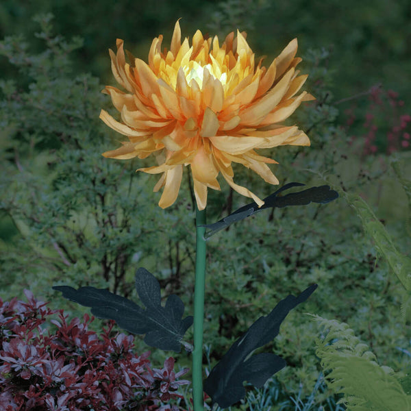 Piquet de jardin solaire chrysanthème LED. Achetez des veilleuses et un éclairage ambiant sur Mounteen. Expédition mondiale disponible.
