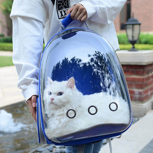 Joli porte-sac à dos en forme de chat transparent. Achetez des fournitures pour chats sur Mounteen. Expédition mondiale disponible.