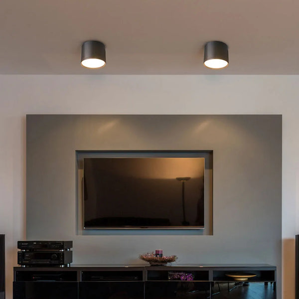 IP65 Dimmable Waterproof Indoor Ceiling Light - Buy online