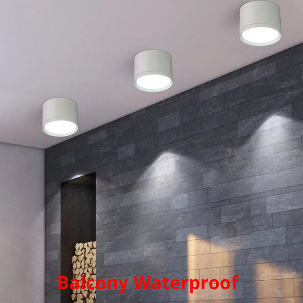 IP67 Dimmable Waterproof Outdoor Ceiling Light - Buy online