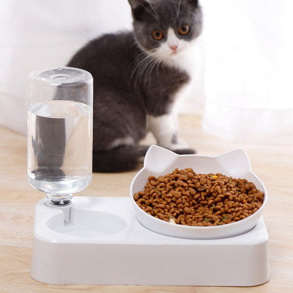 Double bol d'alimentation pour chien et chat. Achetez des fournitures pour chats sur Mounteen. Expédition mondiale disponible.
