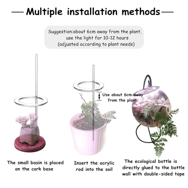 Cultivez des lumières pour les plantes d'intérieur - Comment les utiliser