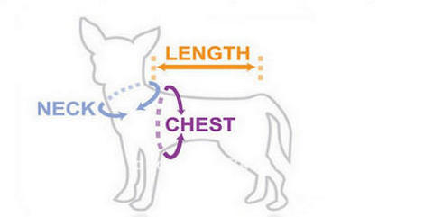 Measuring Your Dog – How To Measure A Dog