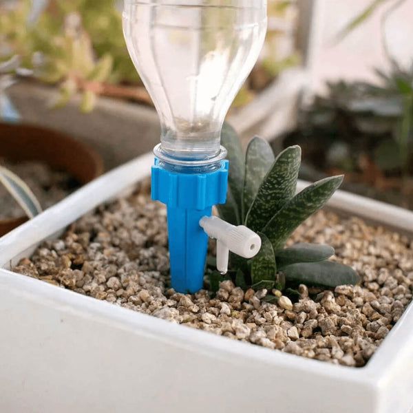 Plastic Plant Watering Spikes. Shop Watering Globes & Spikes on Mounteen. Worldwide shipping available.