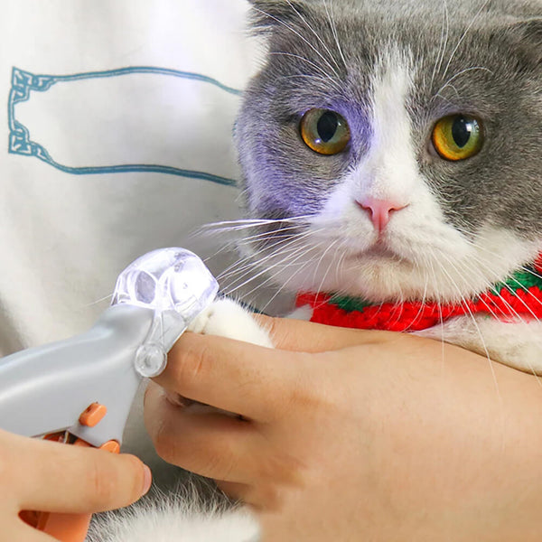 Professional Pet Nail Clipper With LED Light. Shop Pet Grooming Supplies on Mounteen. Worldwide shipping available.